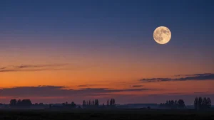 Ilustración de una Luna casi llena sobre un horizonte rural al atardecer, con árboles lejanos y cielo azul y anaranjado